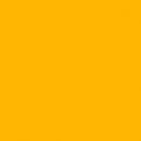 Sunflower M7